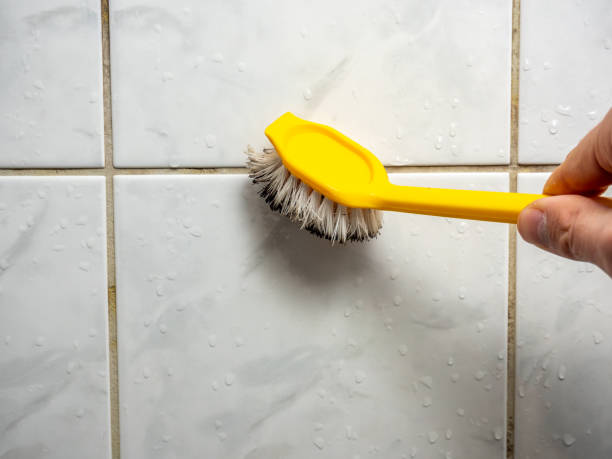 Best Local Mold Removal Service  in Wagon Wheel, AZ