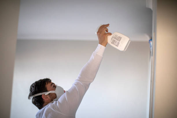 Best Home Mold Removal  in Wagon Wheel, AZ